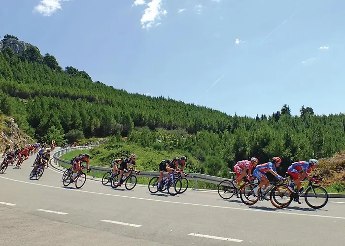 Gradiscanskih Hrvata Makarska