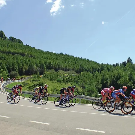 Gradiscanskih Hrvata Makarska